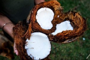 kokosový orech rozdelený na npravidelné tretiny, symbol zdravého kokosového cukru