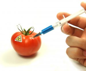 GMO potraviny